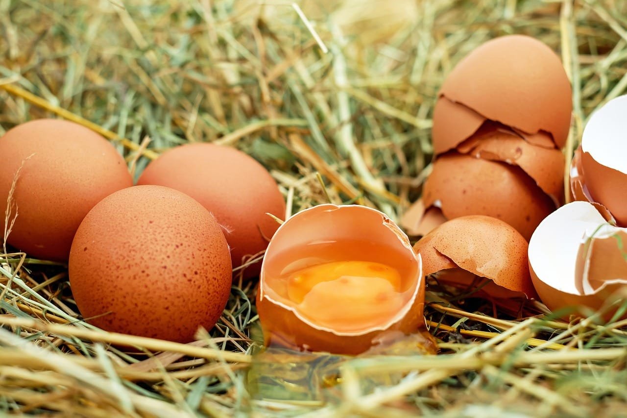Are Eggs Allowed on the Mediterranean Diet?