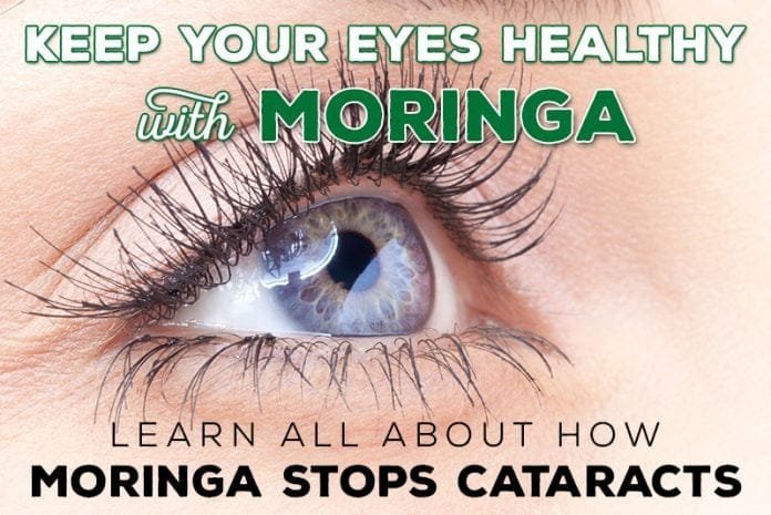 Can Moringa Improve Eye Health?