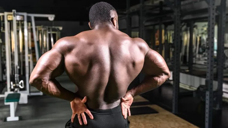 Chest-Supported Row vs. Bent-Over Row: Which Variation is Best for Building a Bigger Back? Chest-Supported Row vs. Bent-Over Row: Which Variation is Best for Building a Bigger Back?