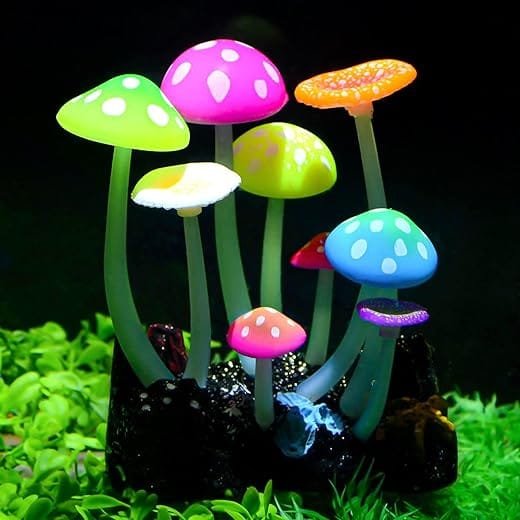What plants can I use for DIY aquarium decorations?