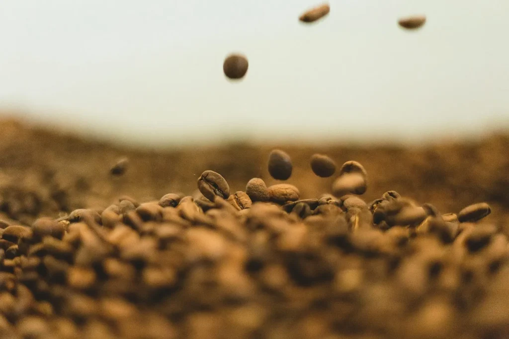 Does Coffee Help You Burn Fat?