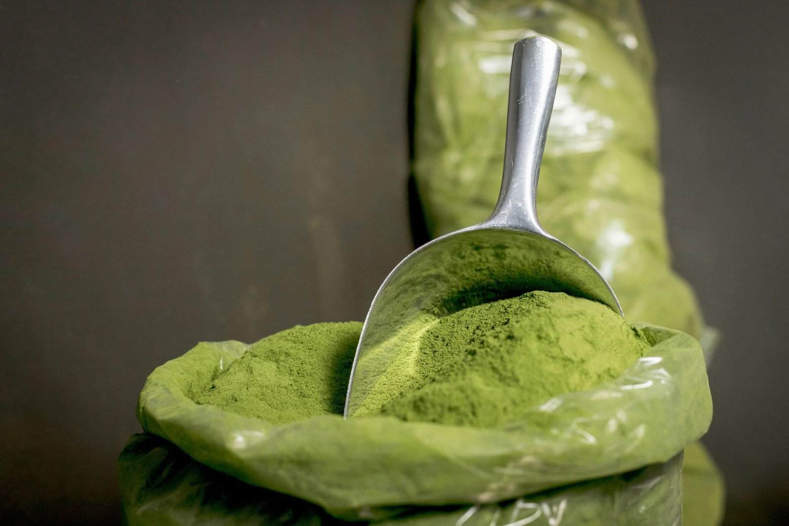 Does Moringa Actually Work for Boosting Energy?
