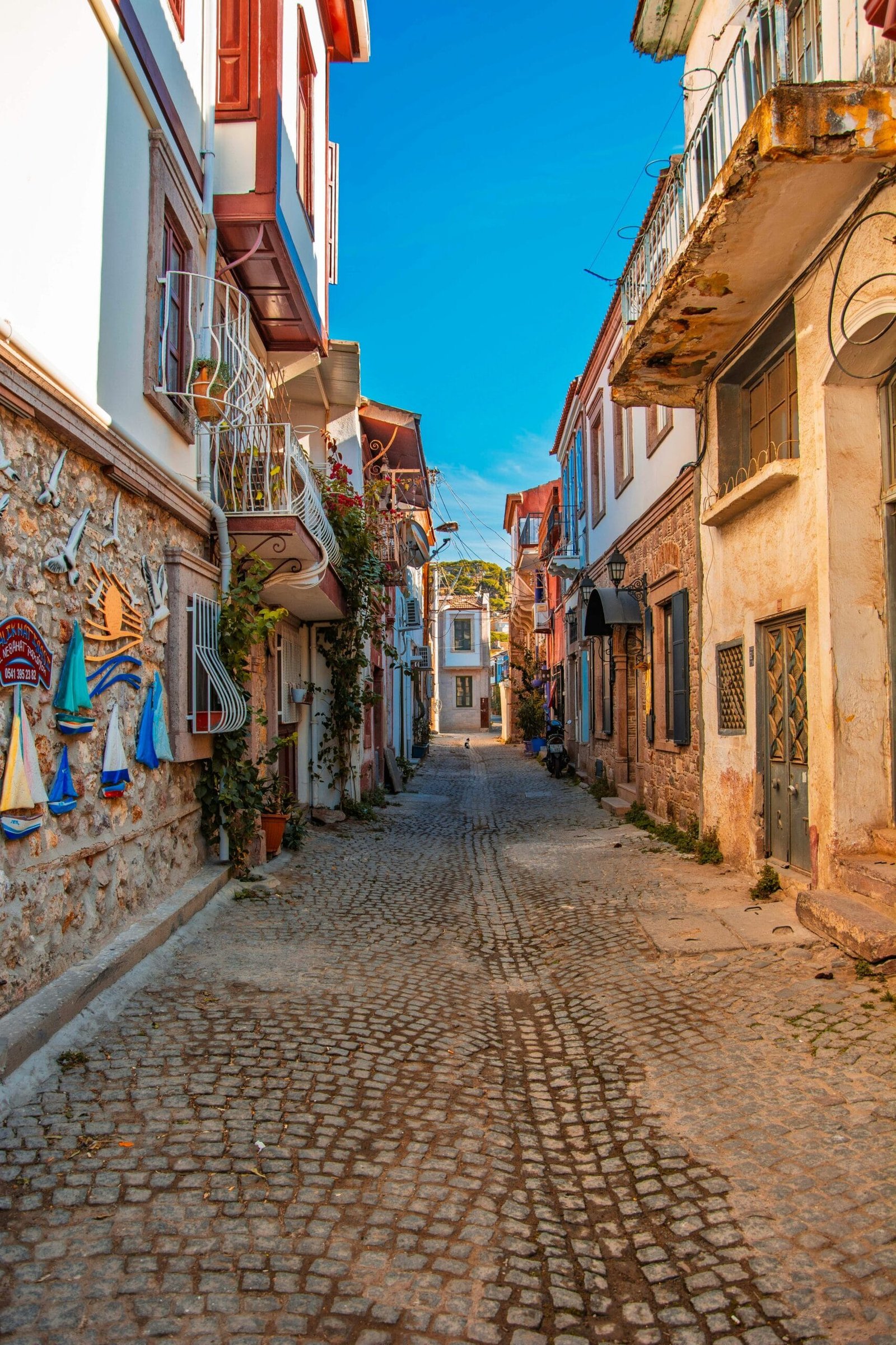 Exploring the Negatives of the Mediterranean Diet
