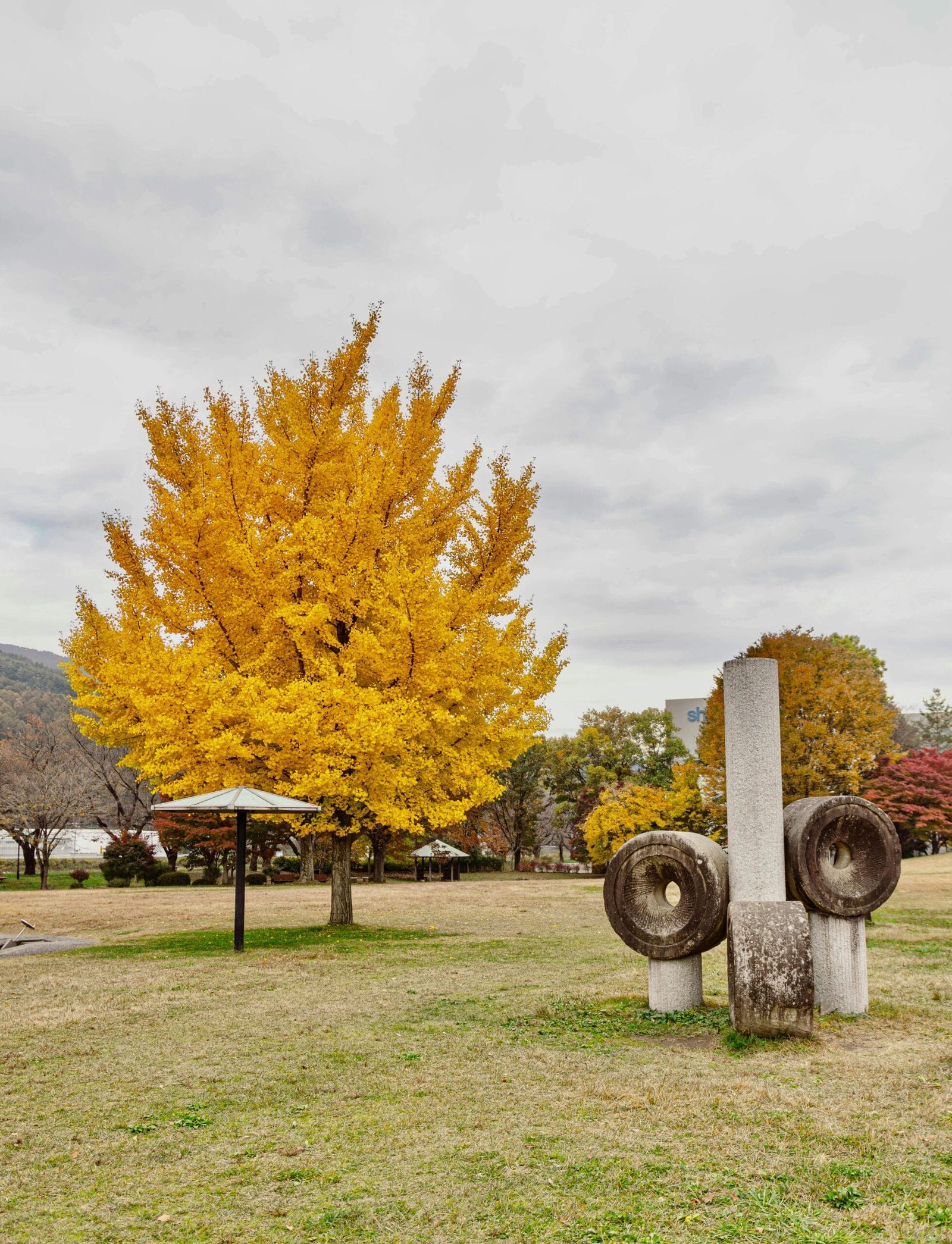 Exploring the Side Effects of Nagano Tonic