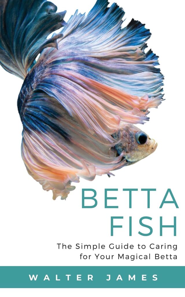 How to identify betta fish health issues?