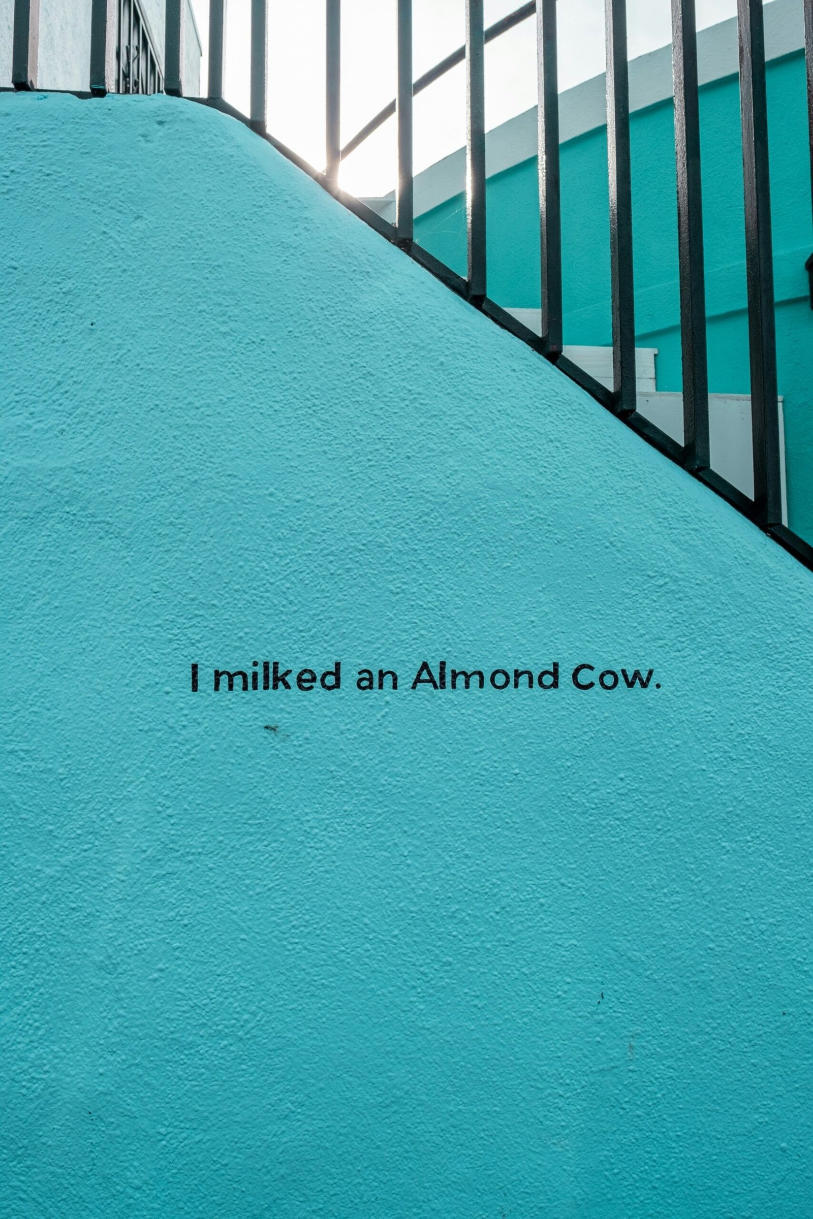 Is Almond Milk Acceptable on the Mediterranean Diet?