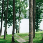 Is Nagano Tonic Suitable for Vegans and Vegetarians?