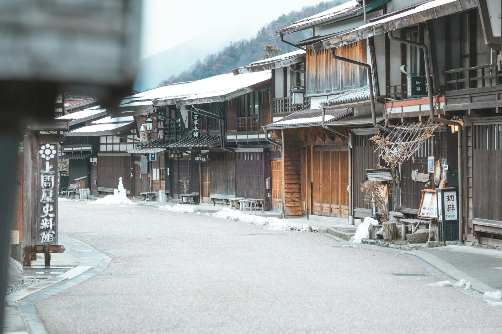 Is Nagano Tonic Suitable for Vegans and Vegetarians?
