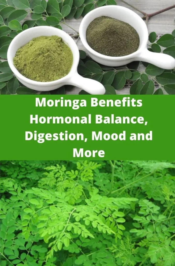 Moringa: A Natural Remedy That Balances Hormones and Slows Aging