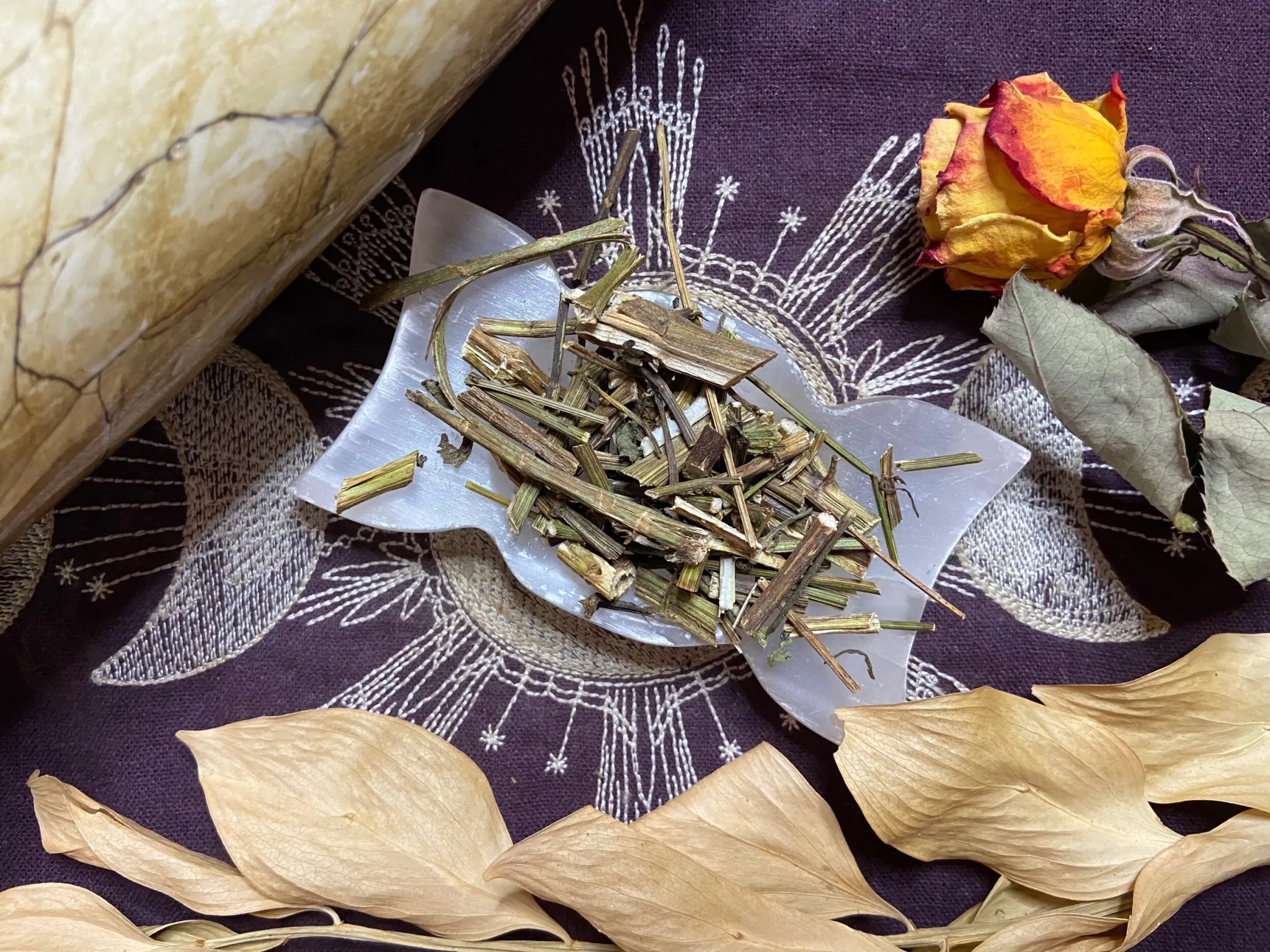 Moringa Witchcraft: The Invisible to Optimum Condition and Wellness