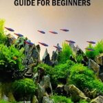 The Role of Fish in Aquascaping