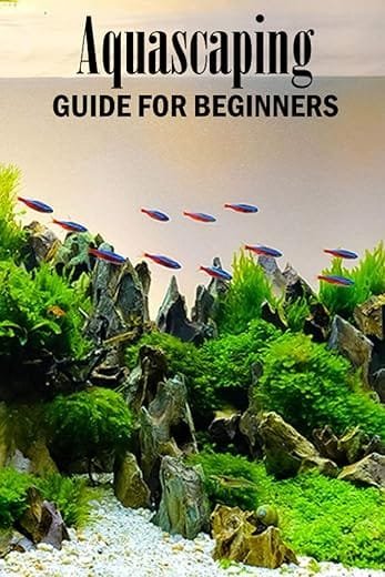 The Role of Fish in Aquascaping