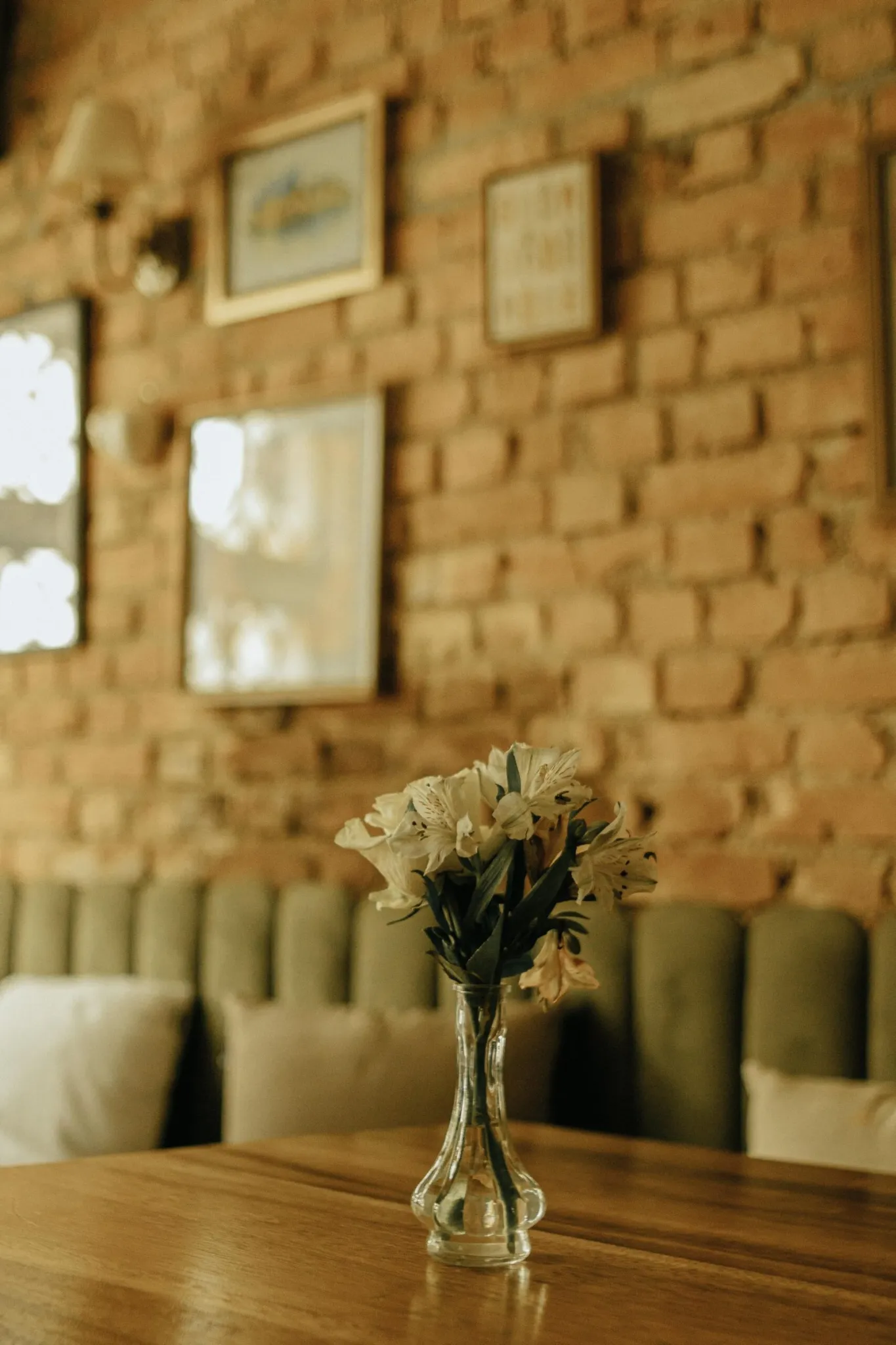 The Best Coffee Brands for Weight Loss