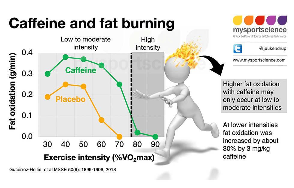 The Impact of Caffeine on Weight Loss