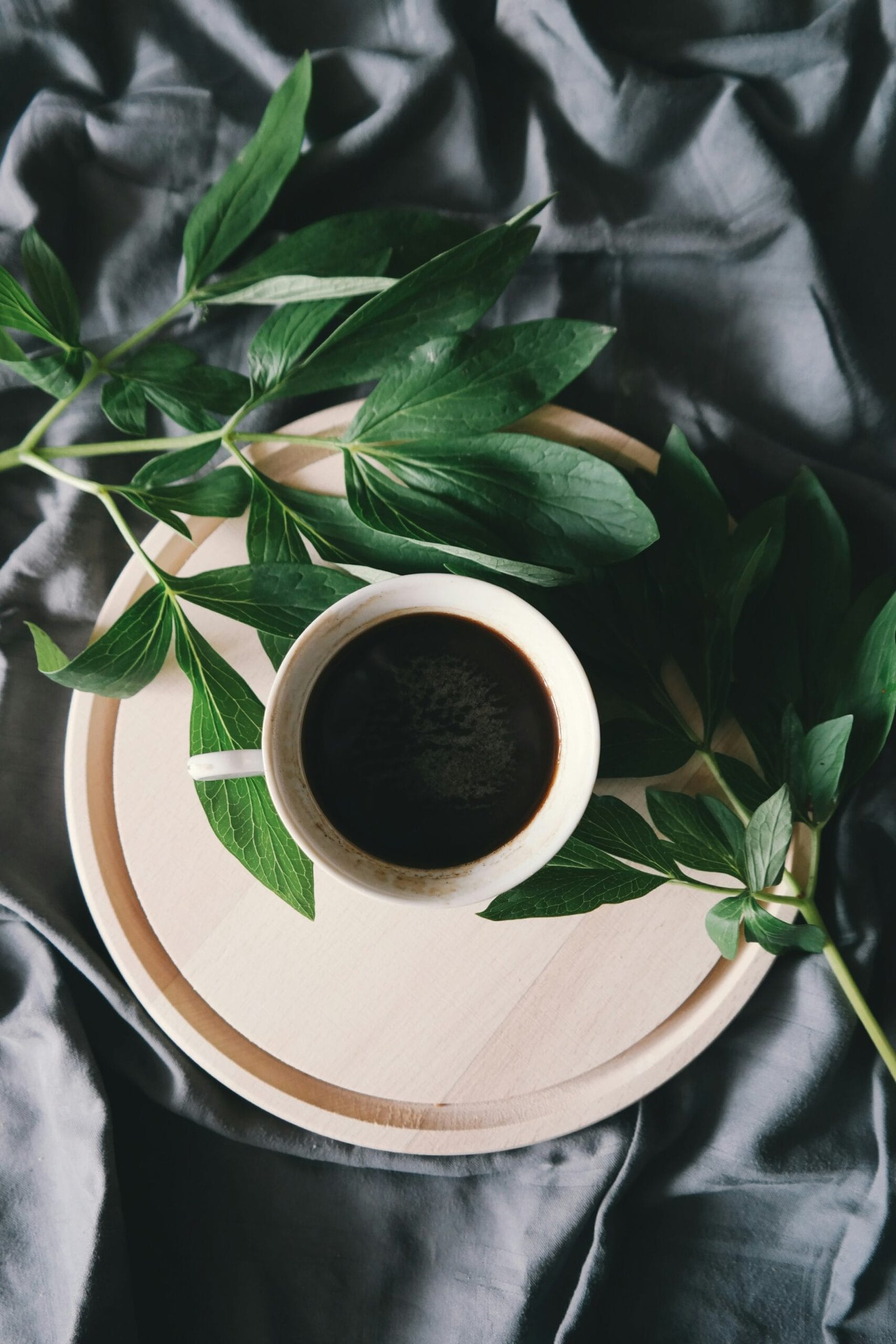 The Ultimate Guide to the Best Fat-Burning Coffee