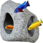 Troubleshooting Common Aquarium Problems