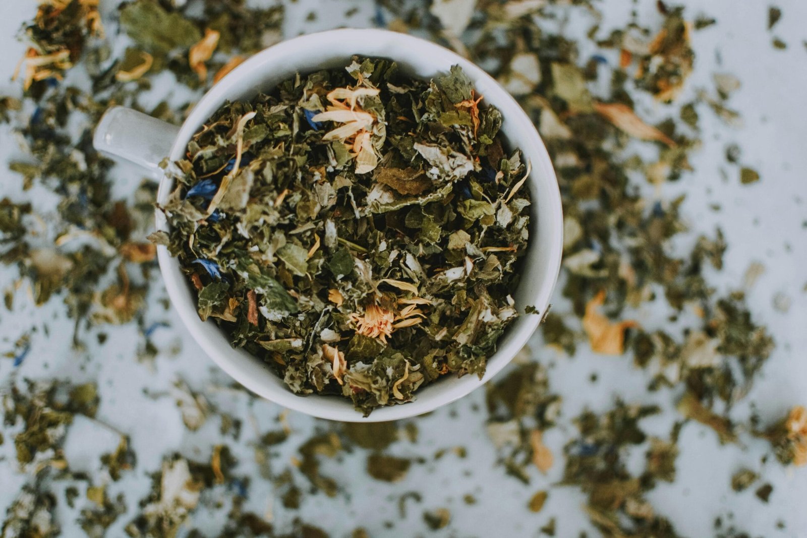Boost Energy Levels Naturally with Mitolyn