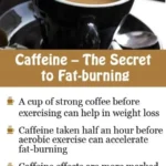 Exploring the Impact of Coffee on Fat Burning During Workouts