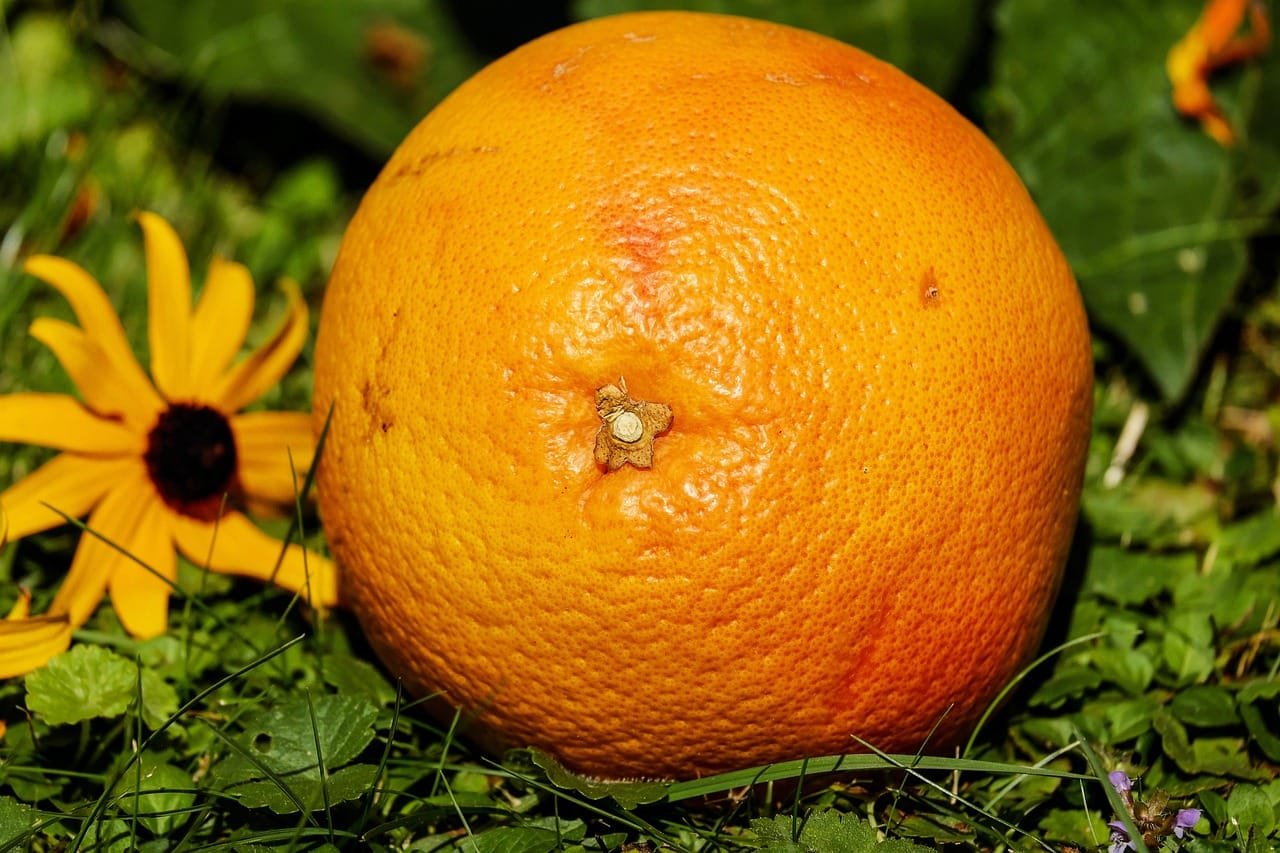 Mangoes and Papayas: A Guide to Their Role in the Mediterranean Diet