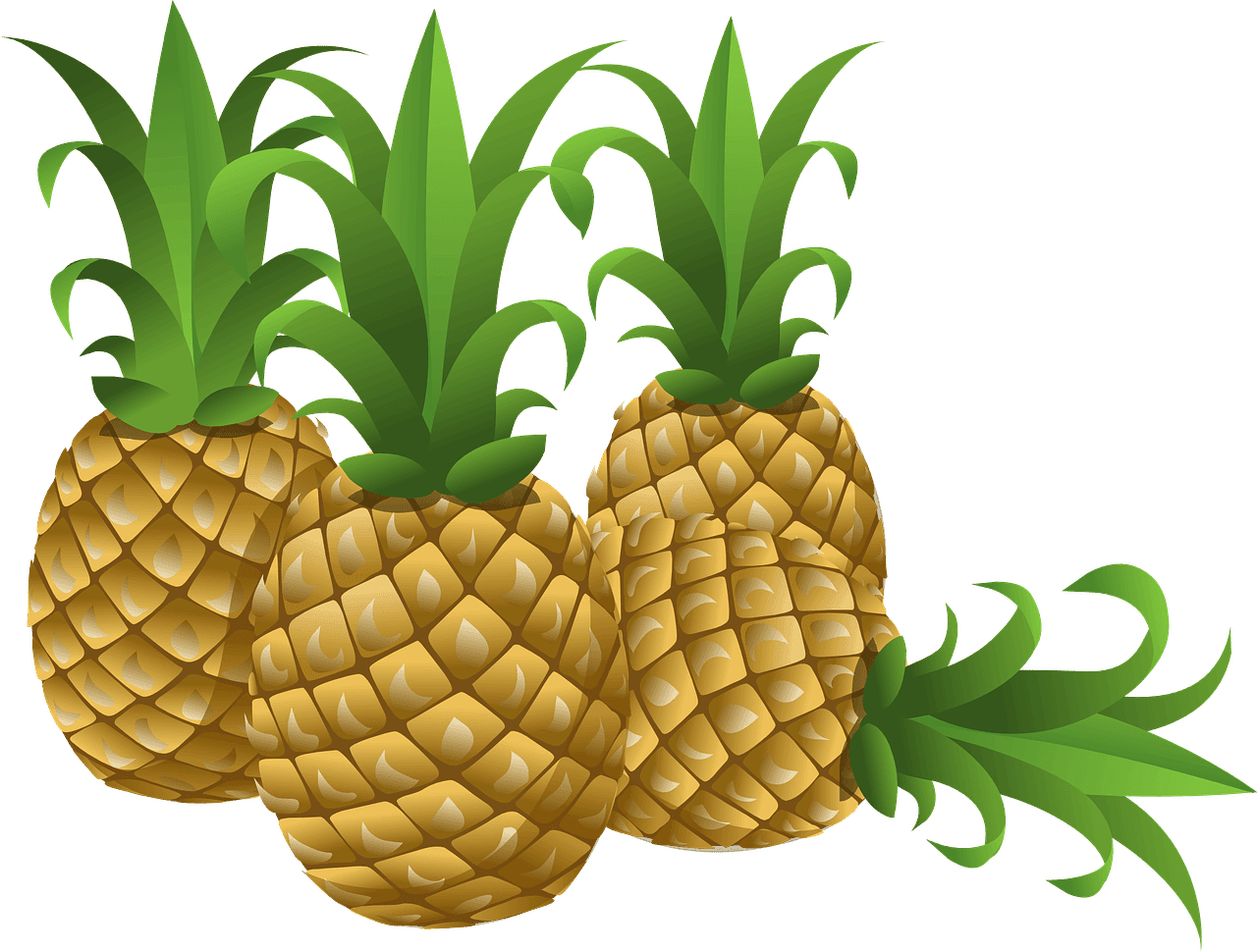 Mangoes and Papayas: A Guide to Their Role in the Mediterranean Diet