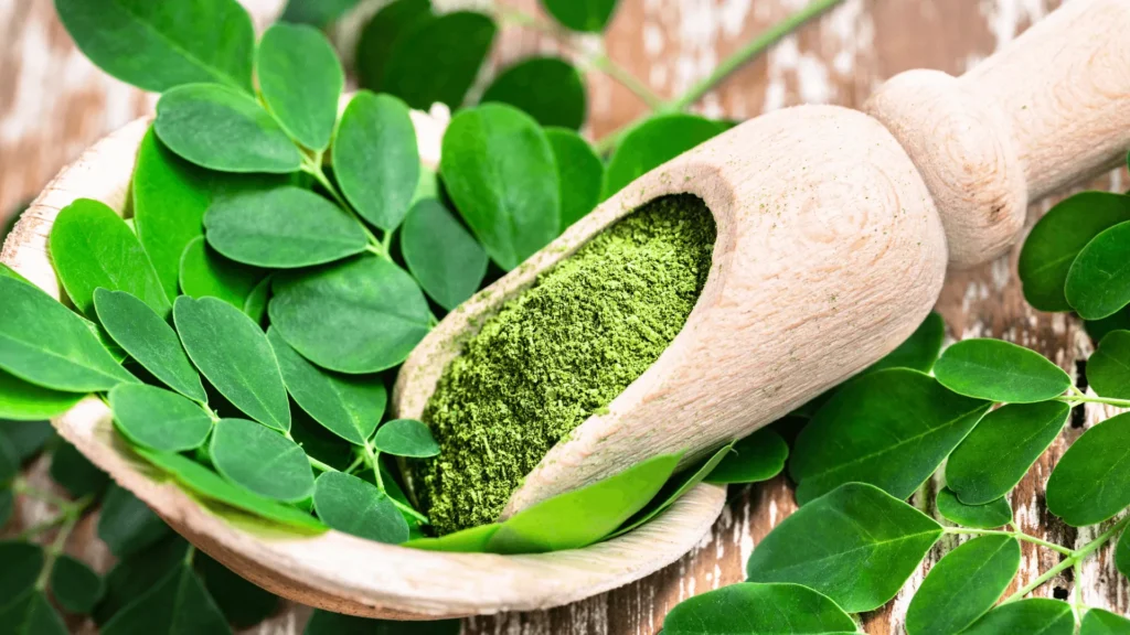 Moringa Insanity: Why This Superfood is Taking the Condition Global via Hurricane