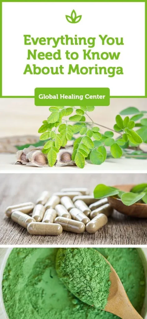 Spice up Your Immunity with Moringa: The Terminating Wellness Answer
