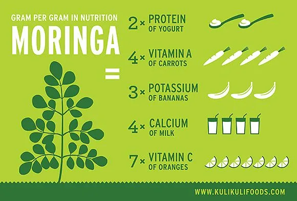 The Moringa Amaze: How This Superfood is Converting Lives