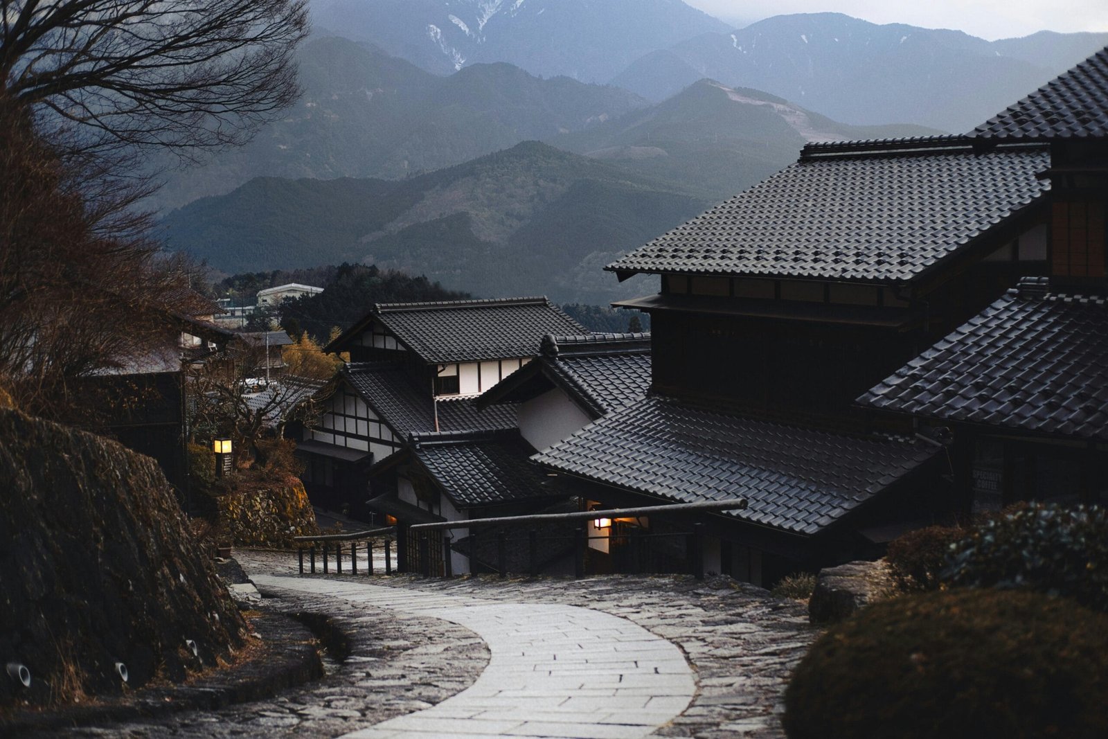 Understanding the Timeframe for Results with Nagano Tonic