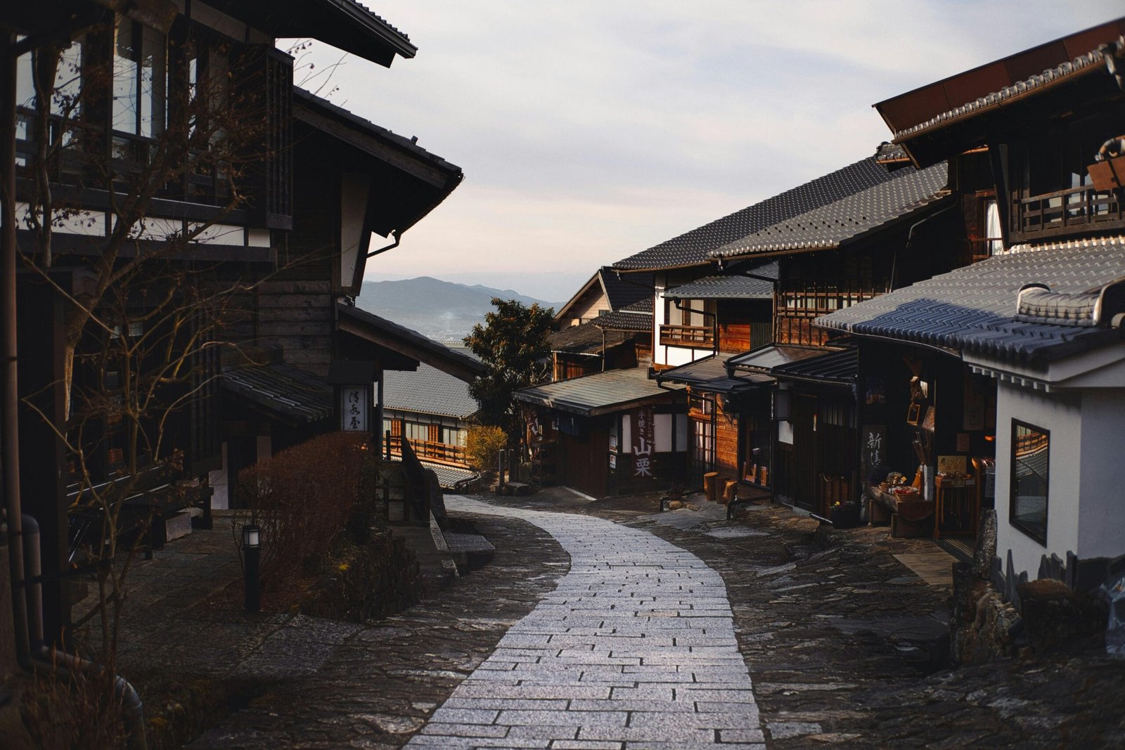 Understanding the Timeframe for Results with Nagano Tonic