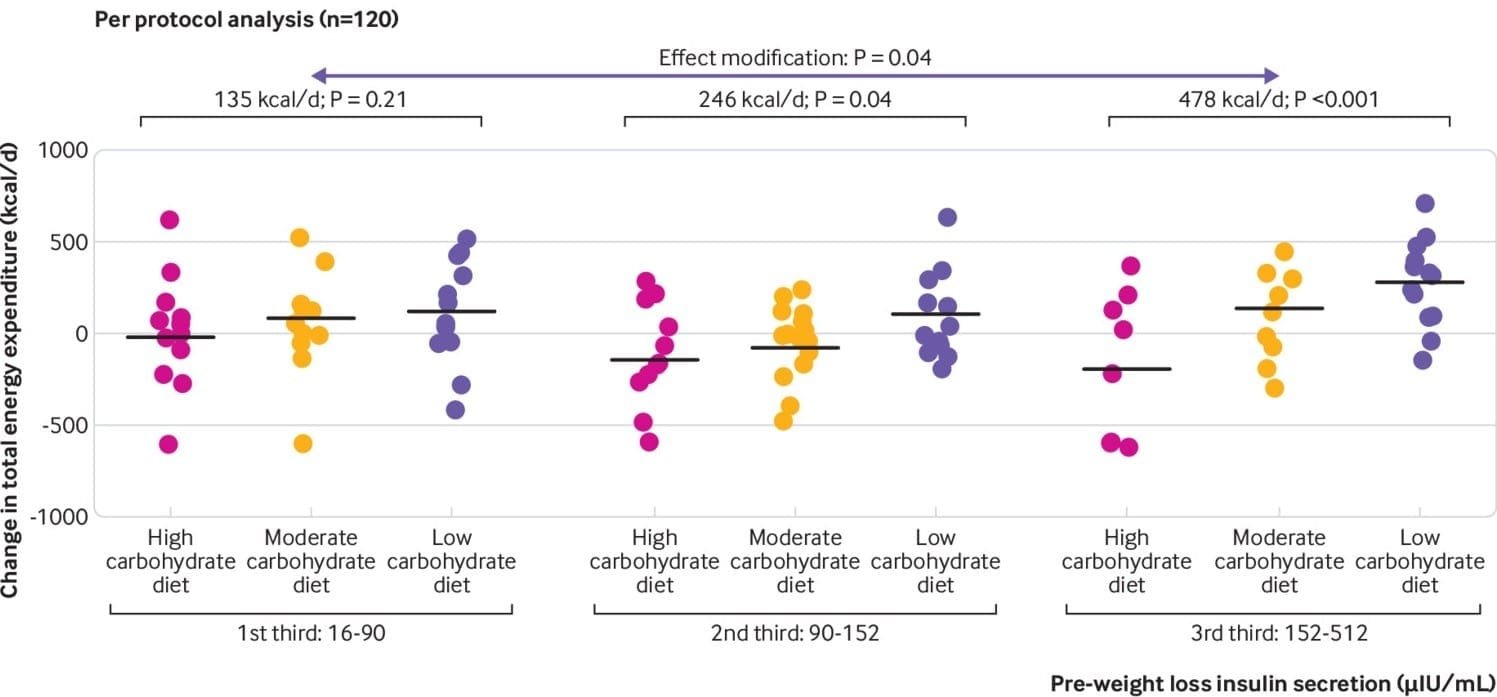Exploring How a Low-Carb Diet Affects Energy Levels