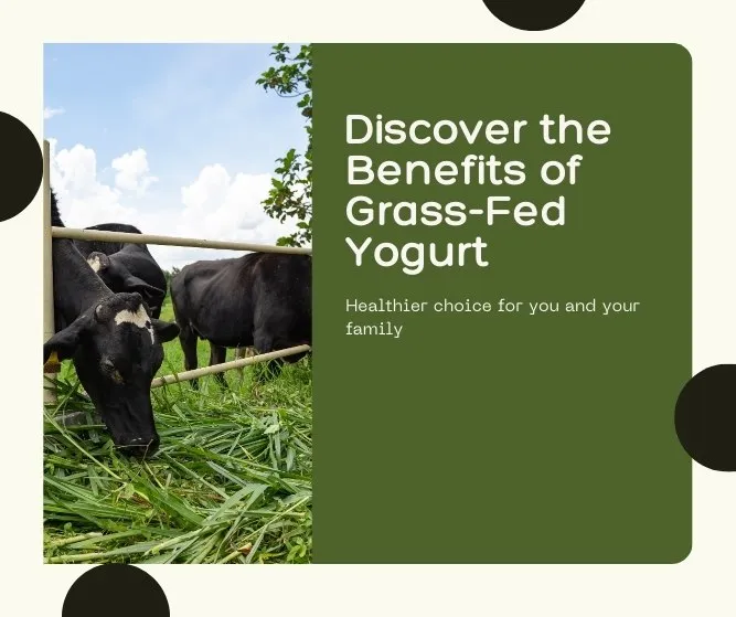 Grass-Fed Yogurt Benefits: Why It’s Healthier, Better, and Worth the Hype