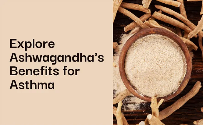 Is Ashwagandha Safe for Asthma? Exploring the Benefits and Side Effects