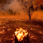 US media refuses to connect LA fires to climate chaos—or the billionaires responsible for it
