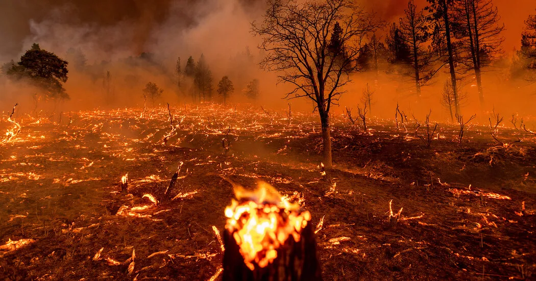 US media refuses to connect LA fires to climate chaos—or the billionaires responsible for it