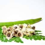 Is Moringa Good for the Skin?