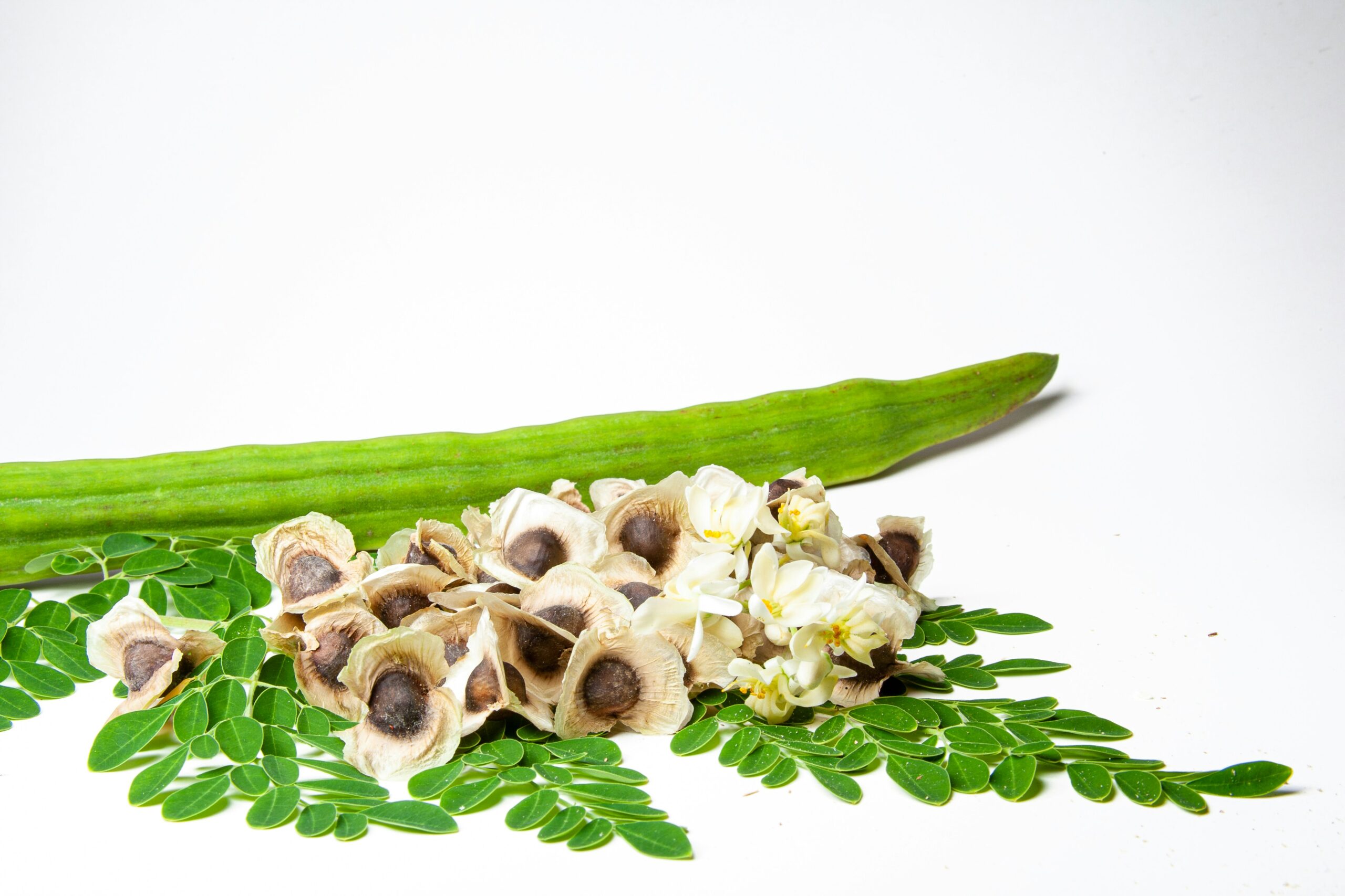 Is Moringa Good for the Skin?