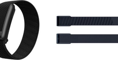 WHOOP Peak Bundle – WHOOP 5.0 Health & Fitness Wearable with 12-Month Membership + SuperKnit Wristband – 24/7 Activity, Sleep, HRV & Stress Tracker with Healthspan Insights – Midnight WHOOP Peak Bundle – WHOOP 5.0 Health & Fitness Wearable with 12-Month Membership + SuperKnit Wristband – 24/7 Activity, Sleep, HRV & Stress Tracker with Healthspan Insights – Midnight