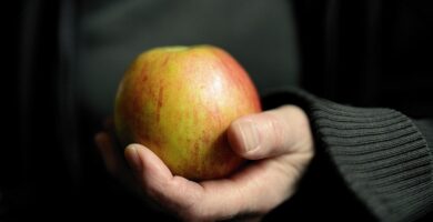 The Science Behind Diet Pills: What Works and What Doesn’t